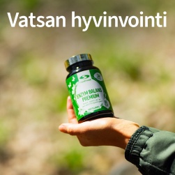 Vatsan hyvinvointi